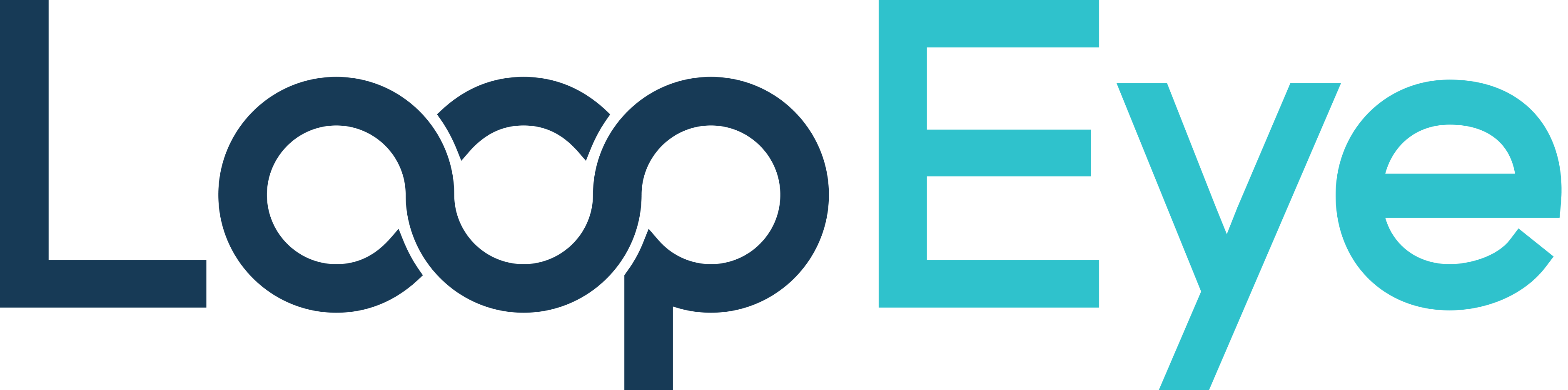 LoopEye Logo